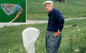 Vladimir Nabokov standing in a grassy field holding a butterfly net, wearing a white cap and navy shirt.